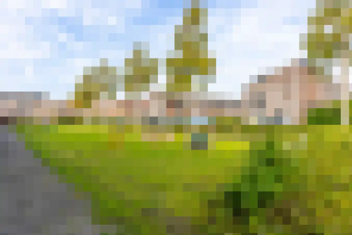 Zevenblad 58 De Meern thumbnail 59