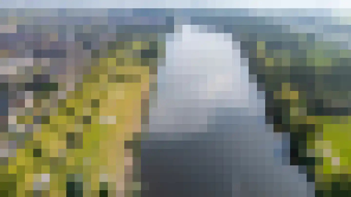 Zevenblad 58 De Meern thumbnail 60