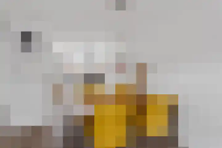 Zevenblad 64 Oldenzaal thumbnail 9