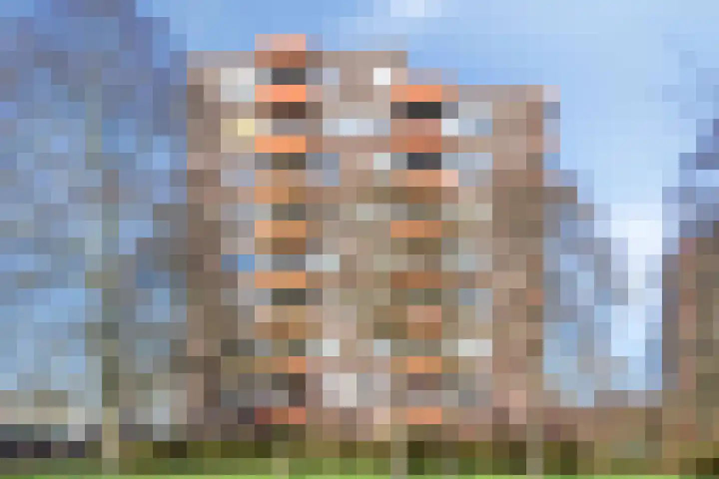 Zevenblad 64 Uithoorn thumbnail 27
