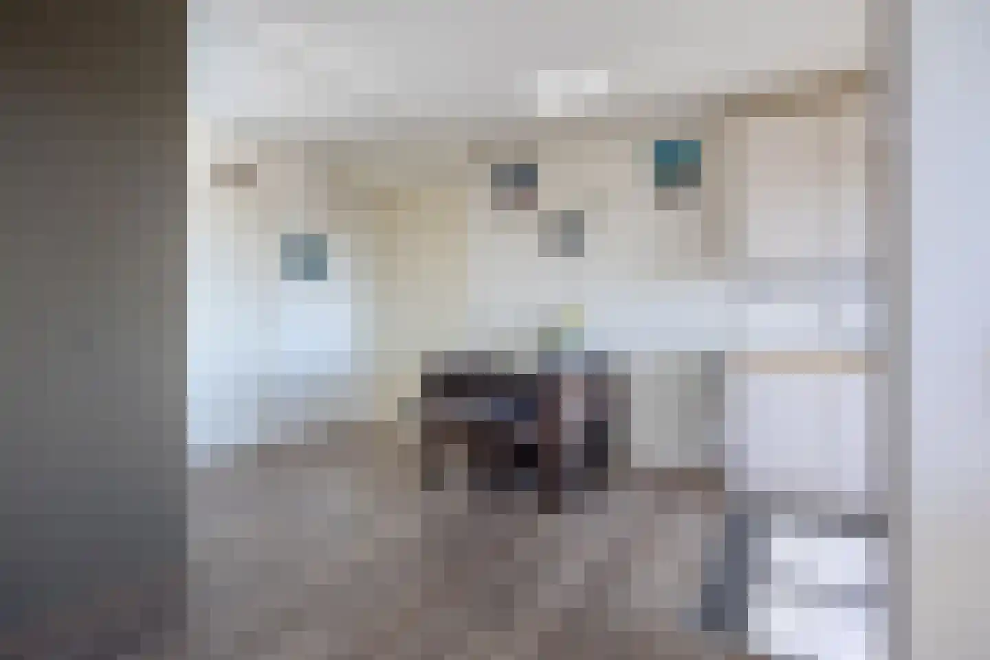 Zevenblad 64 Uithoorn thumbnail 8
