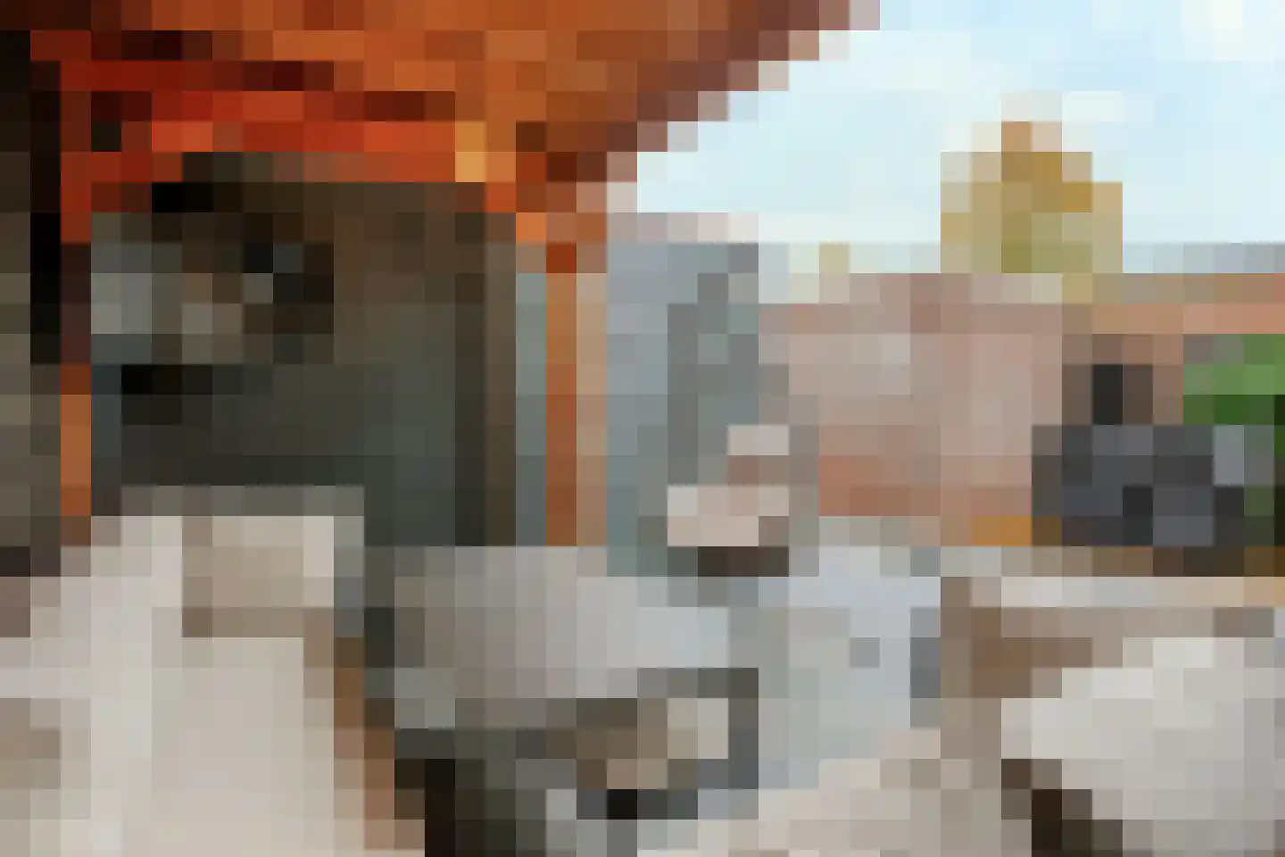 Zevenblad 7 De Meern thumbnail 14
