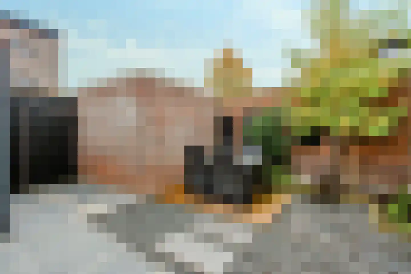 Zevenblad 7 De Meern thumbnail 18