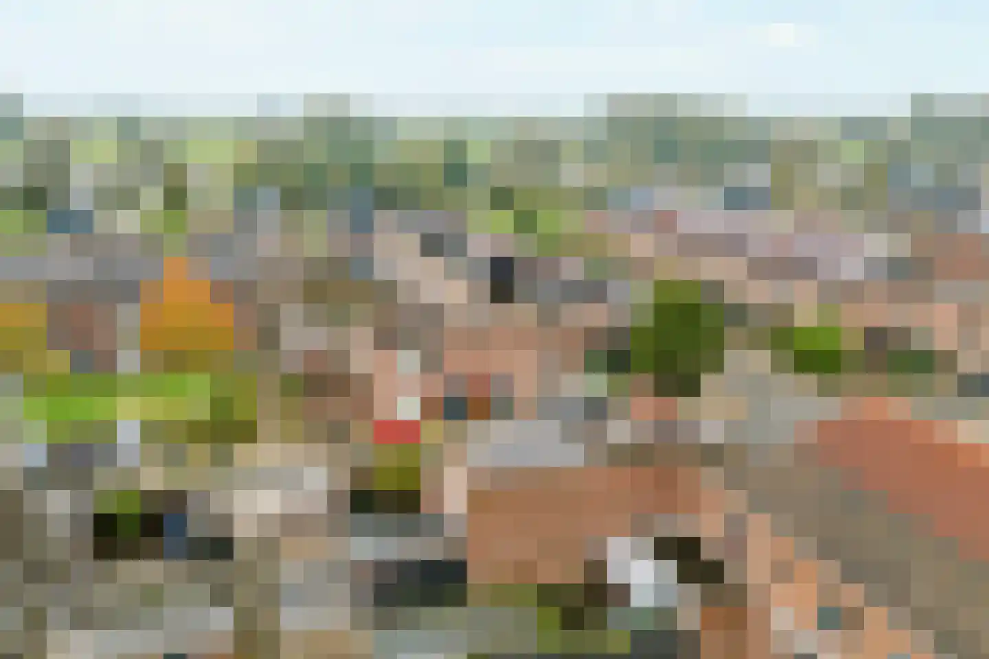 Zevenblad 7 De Meern thumbnail 40