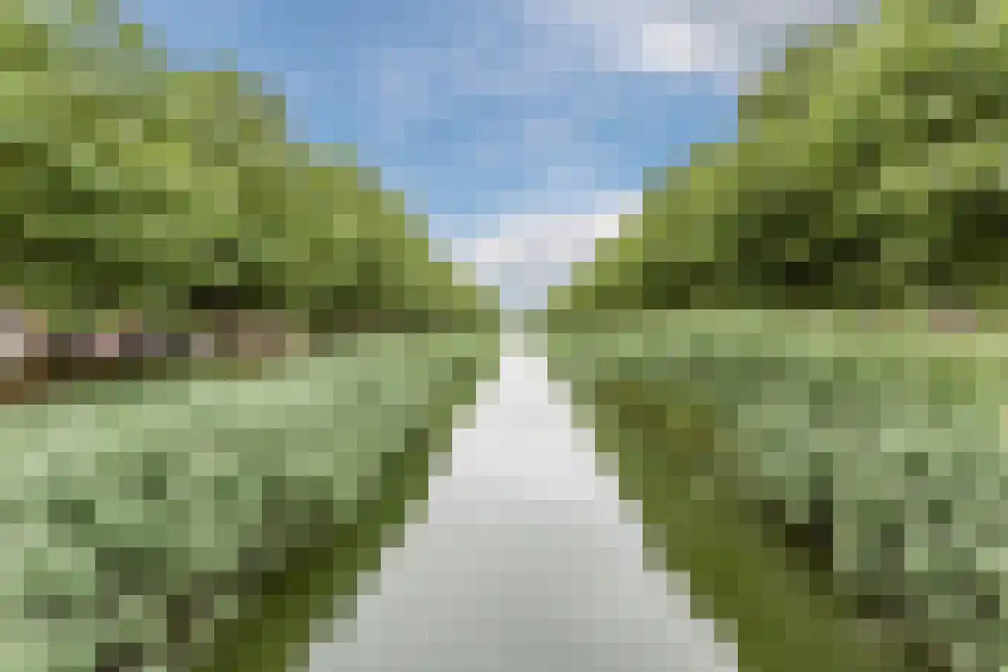 Zevenblad 7 De Meern thumbnail 47