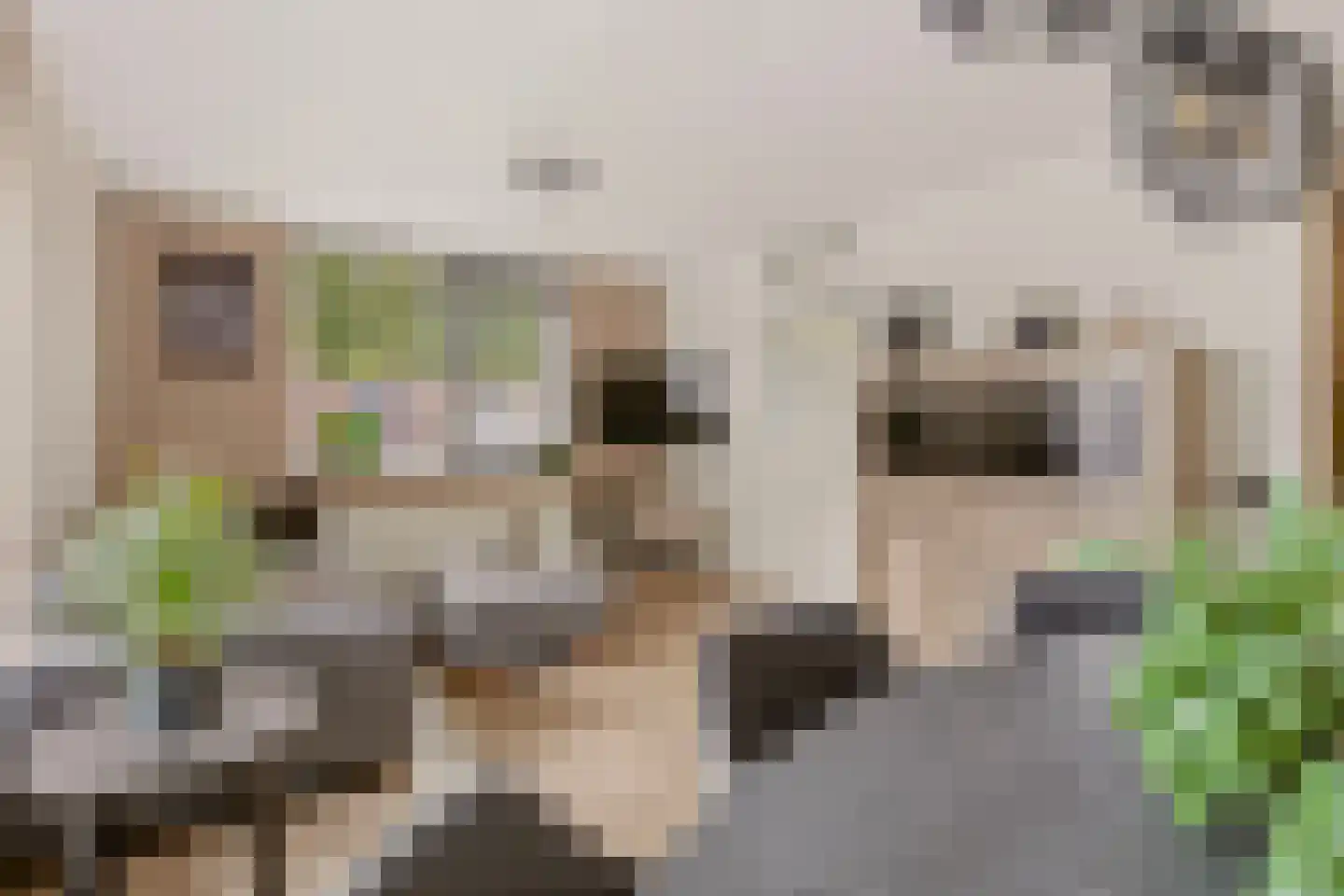 Zevenblad 7 De Meern thumbnail 6