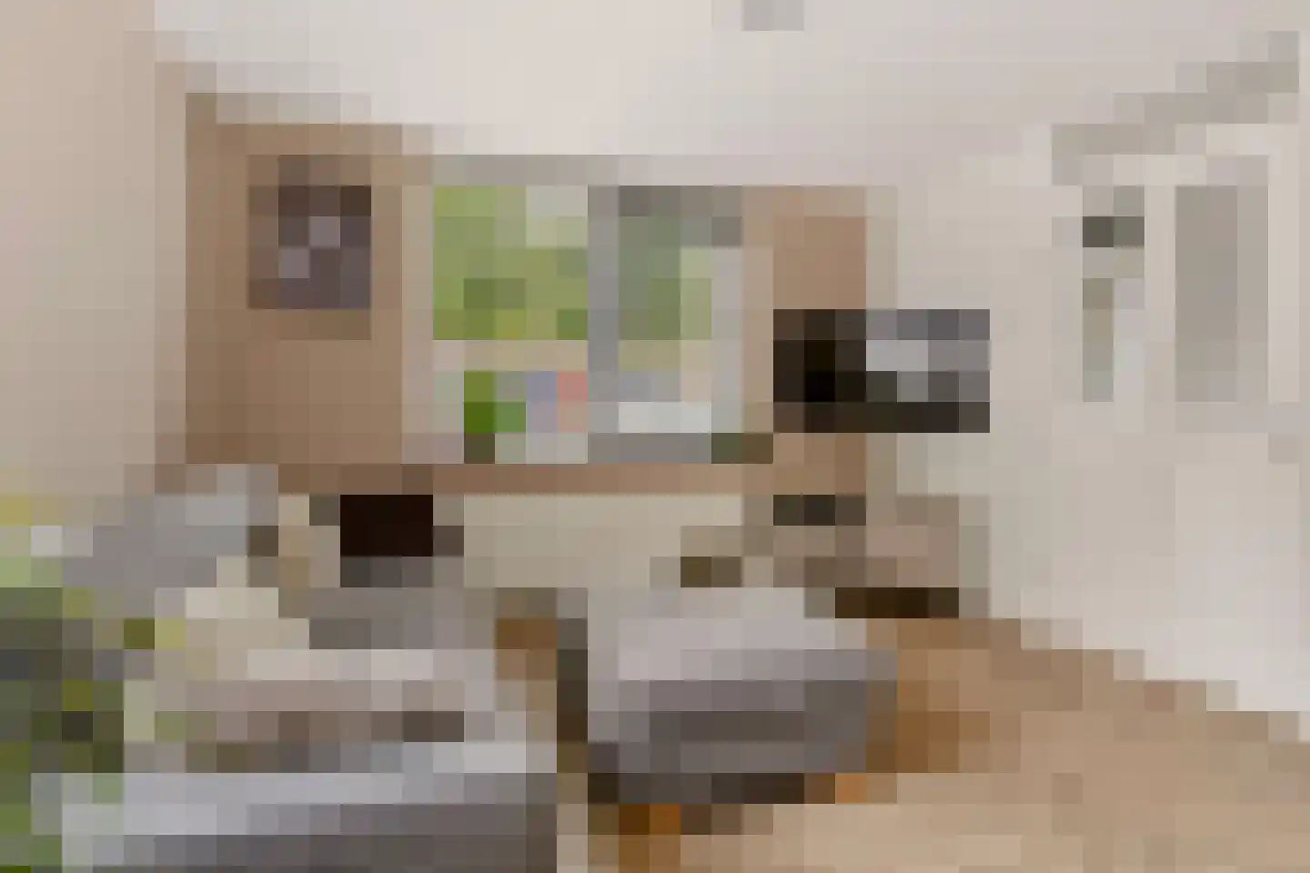 Zevenblad 7 De Meern thumbnail 7
