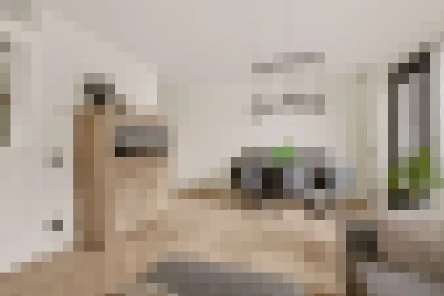 Zevenblad 7 De Meern thumbnail 8