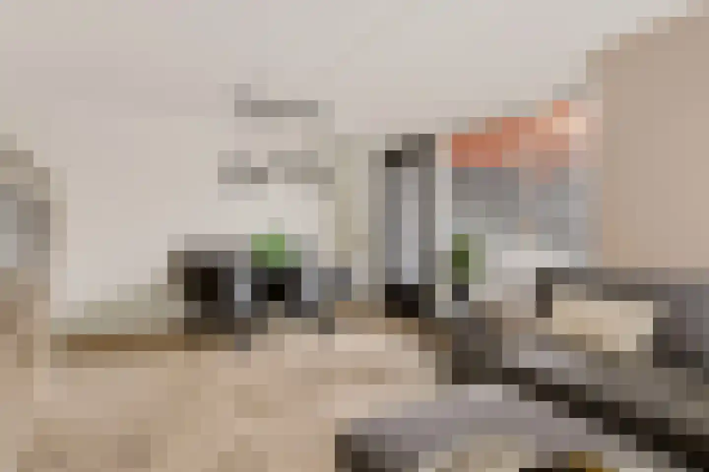 Zevenblad 7 De Meern thumbnail 9