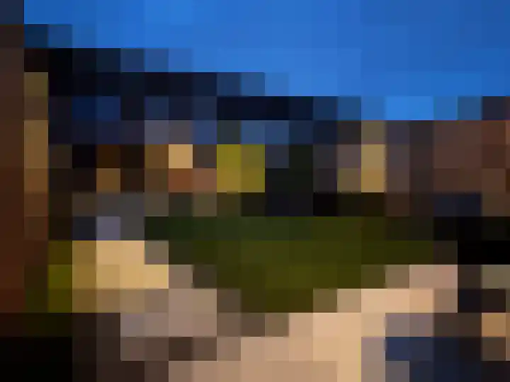Zevenblad 72 De Meern thumbnail 26