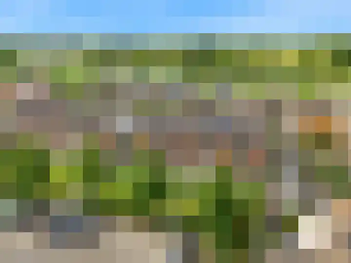 Zevenblad 72 De Meern thumbnail 30
