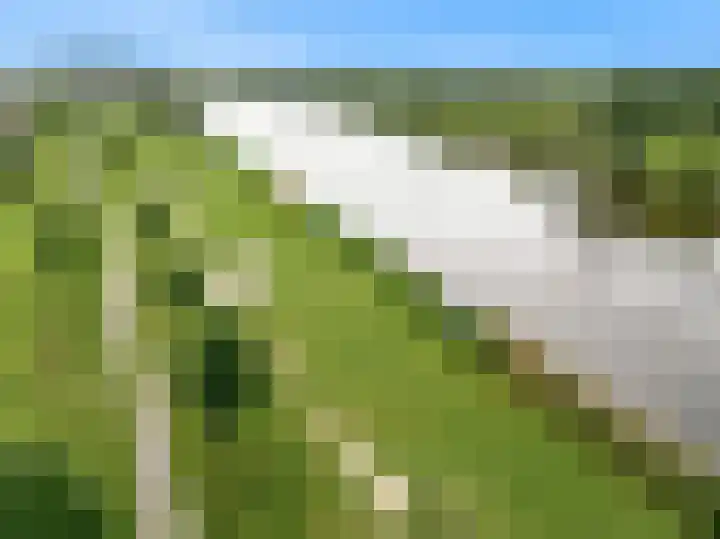 Zevenblad 72 De Meern thumbnail 31