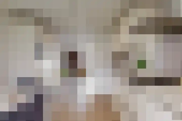 Zevenblad 72 De Meern thumbnail 8