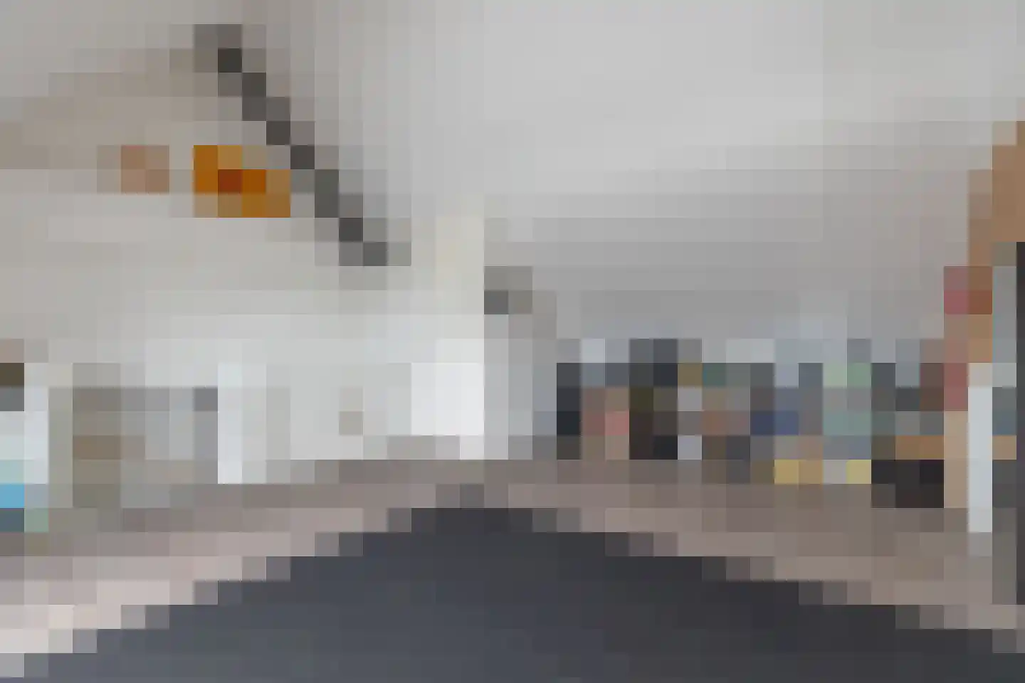 Zevenblad 8 Heerhugowaard thumbnail 35