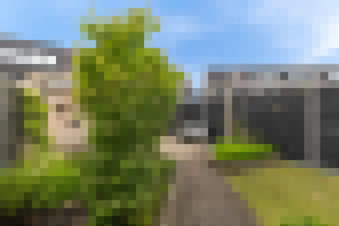 Zevenblad 8 Heerhugowaard thumbnail 42