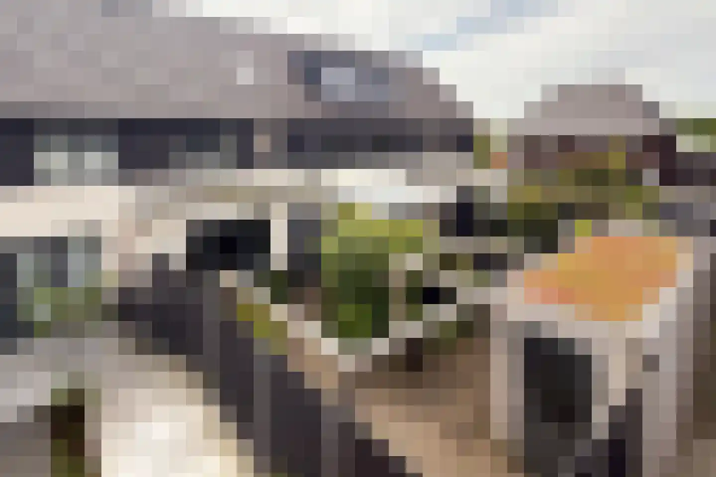 Zevenblad 8 Heerhugowaard thumbnail 45