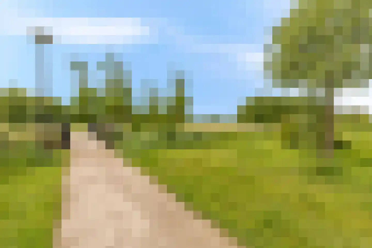 Zevenblad 8 Heerhugowaard thumbnail 47
