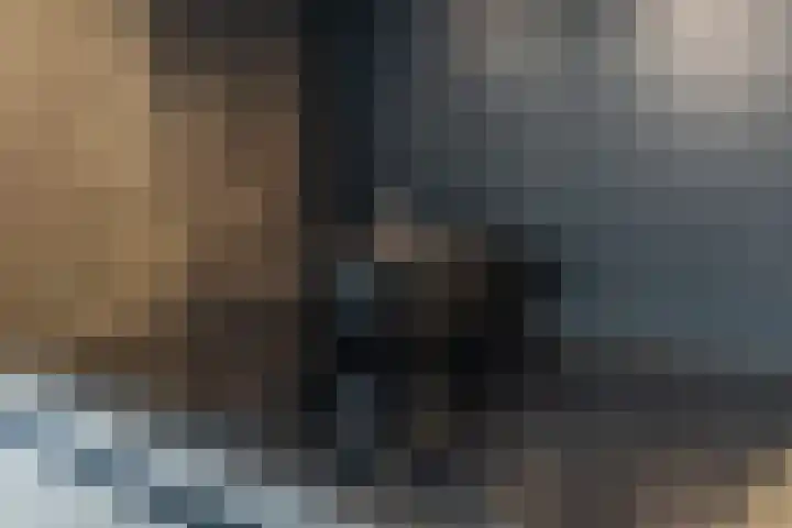 Zevenblad 9 De Meern thumbnail 10