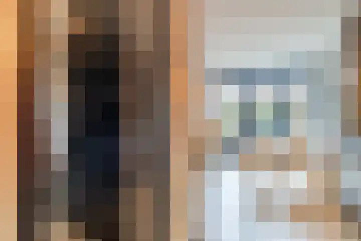 Zevenblad 9 De Meern thumbnail 12