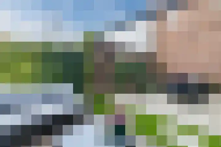 Zevenblad 9 De Meern thumbnail 19