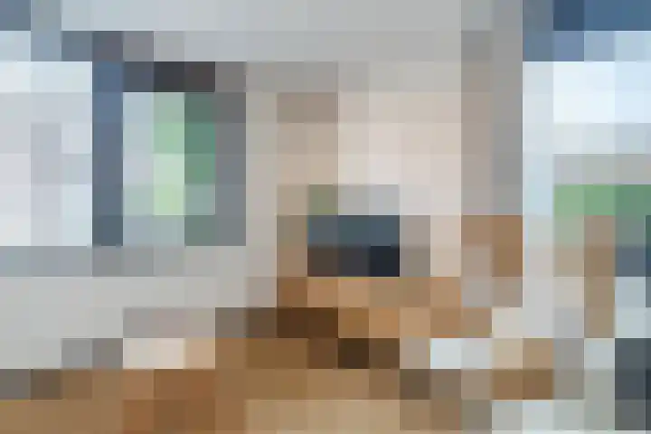 Zevenblad 9 De Meern thumbnail 25