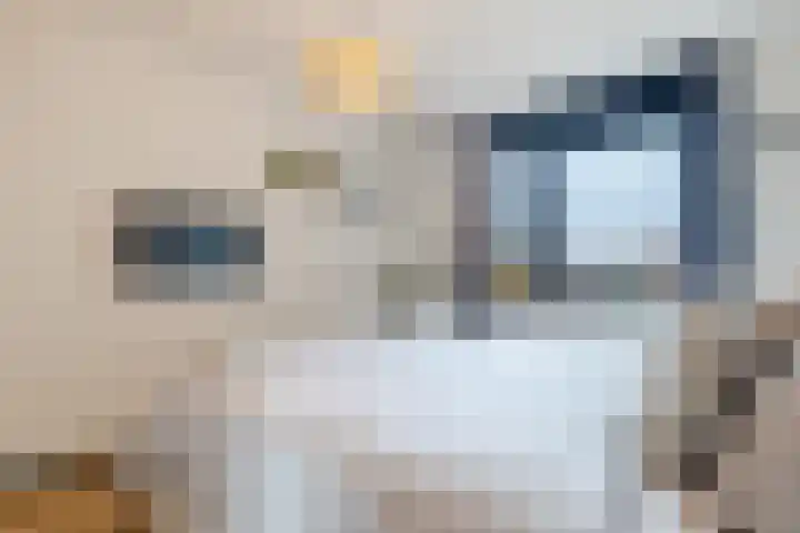 Zevenblad 9 De Meern thumbnail 32