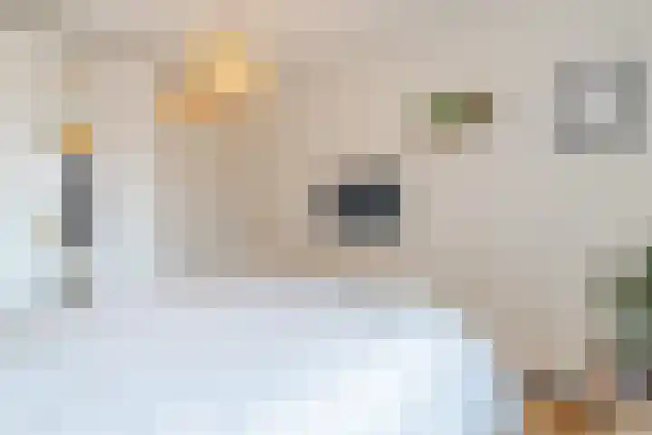Zevenblad 9 De Meern thumbnail 33