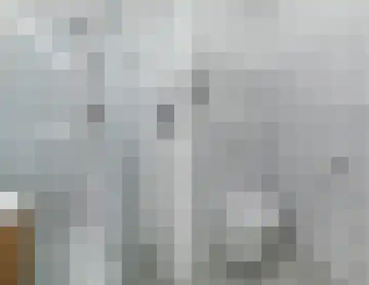 Zevenblad 9 De Meern thumbnail 42