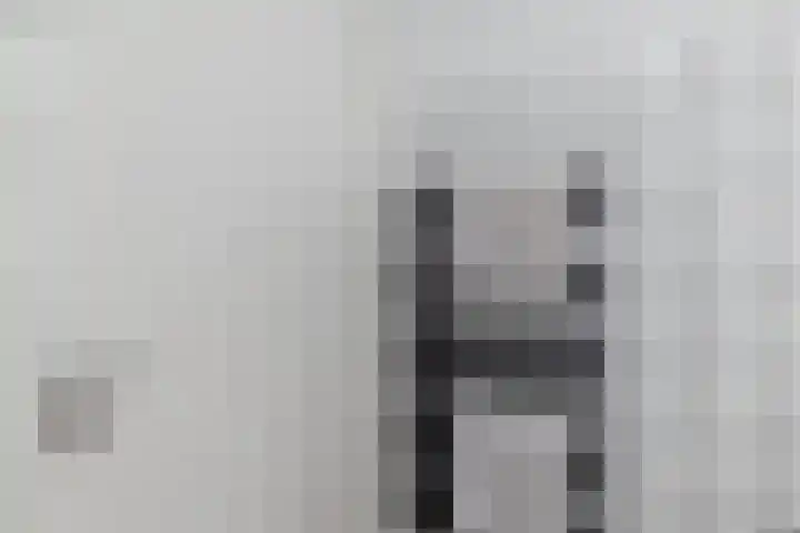 Zevenblad 9 De Meern thumbnail 43