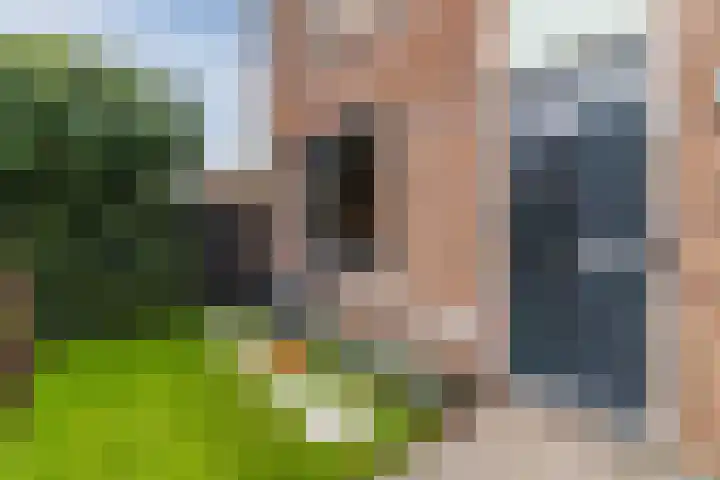 Zevenblad 9 De Meern thumbnail 46