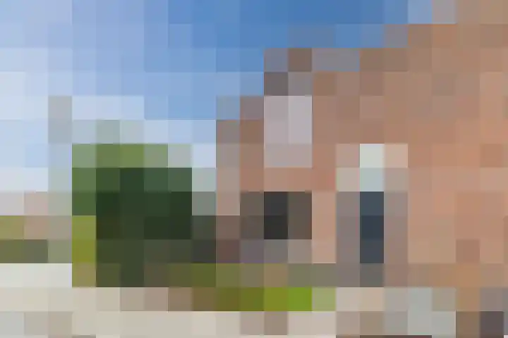 Zevenblad 9 De Meern thumbnail 49