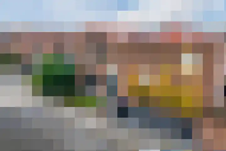 Zevenblad 9 De Meern thumbnail 50