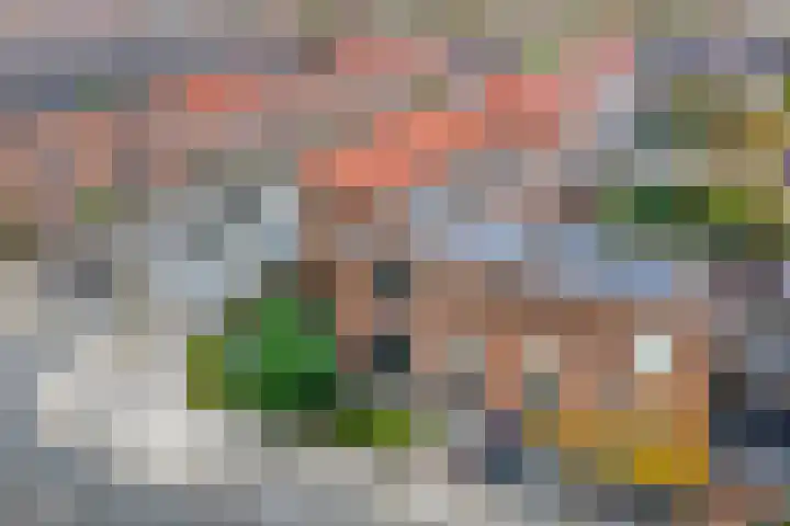 Zevenblad 9 De Meern thumbnail 51