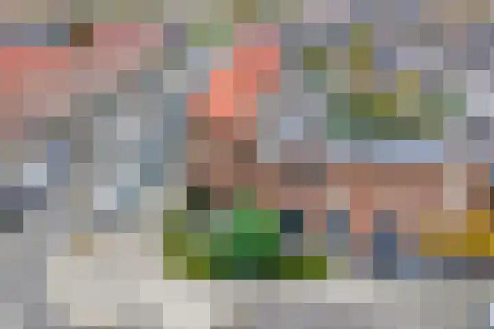 Zevenblad 9 De Meern thumbnail 52