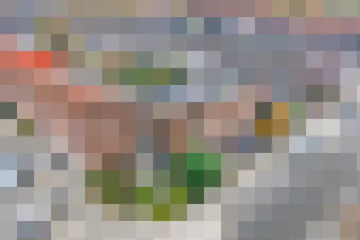 Zevenblad 9 De Meern thumbnail 53