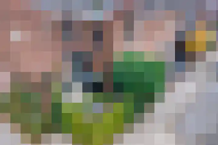 Zevenblad 9 De Meern thumbnail 55