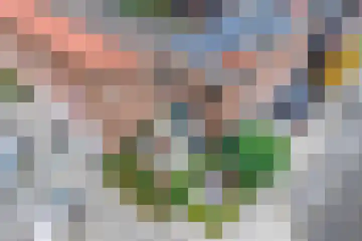 Zevenblad 9 De Meern thumbnail 57