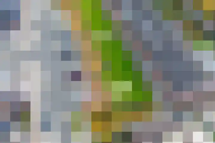 Zevenblad 9 De Meern thumbnail 58