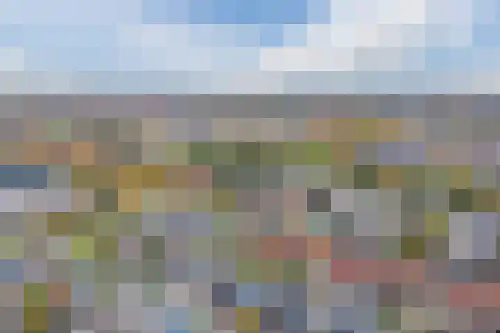 Zevenblad 9 De Meern thumbnail 59