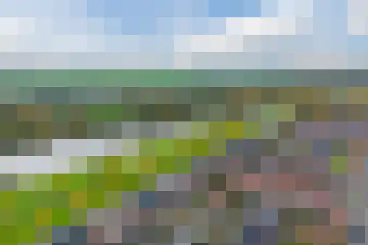 Zevenblad 9 De Meern thumbnail 60