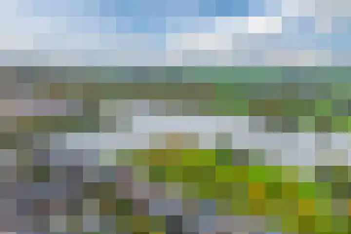 Zevenblad 9 De Meern thumbnail 61