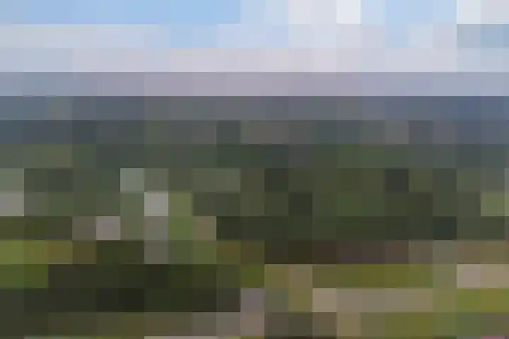 Zevenblad 9 De Meern thumbnail 62