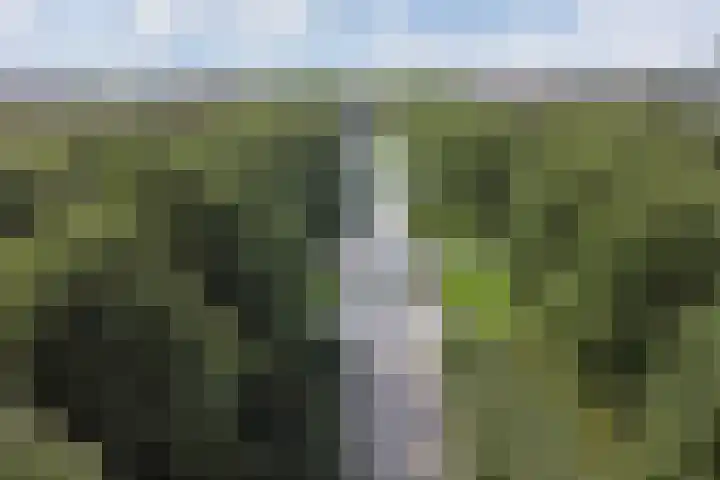 Zevenblad 9 De Meern thumbnail 63