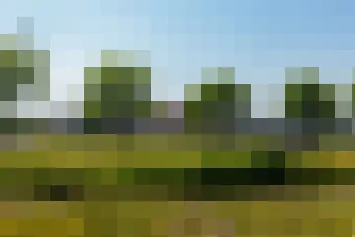 Zevenblad 9 De Meern thumbnail 64