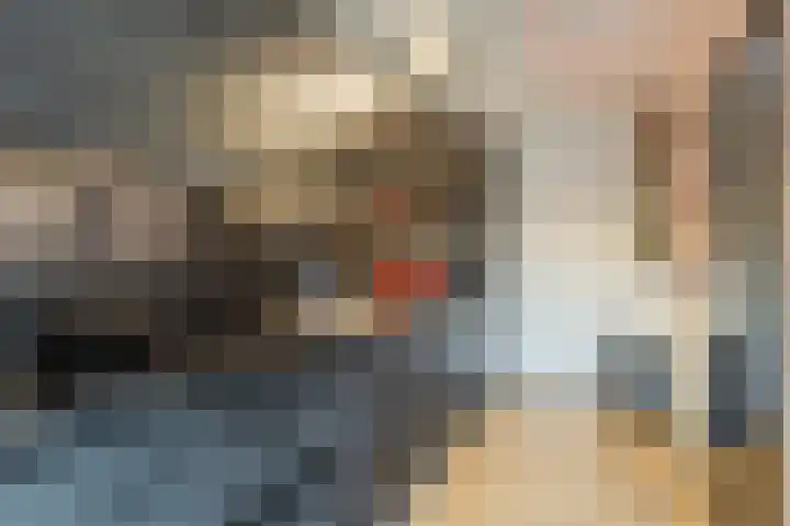 Zevenblad 9 De Meern thumbnail 7