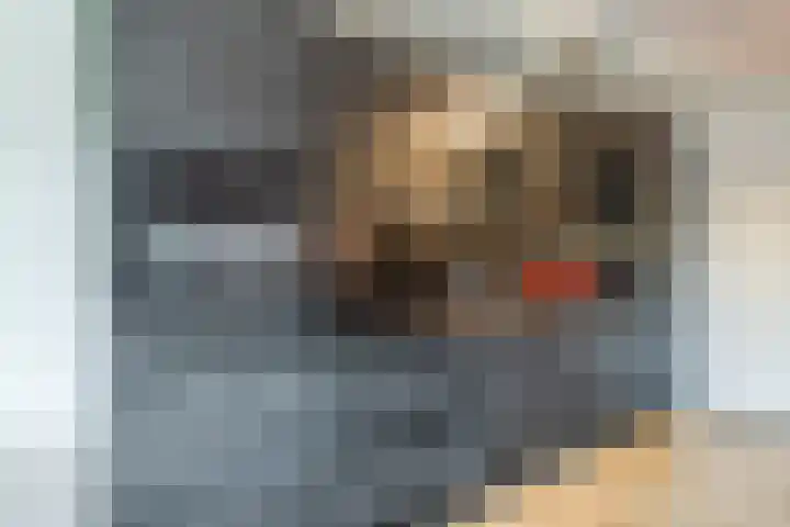 Zevenblad 9 De Meern thumbnail 8