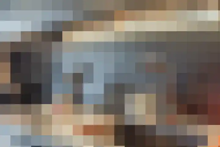 Zevenblad 9 De Meern thumbnail 9
