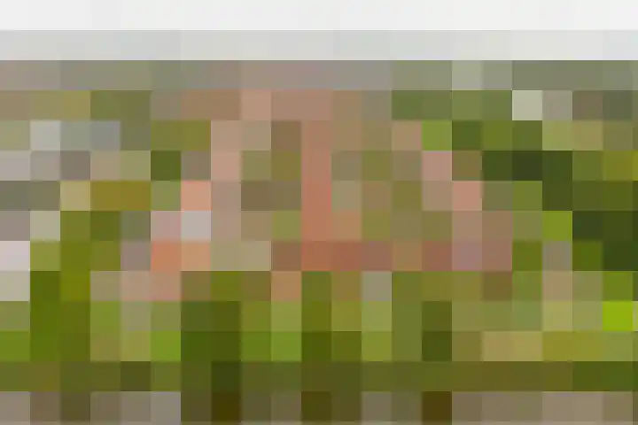 Zevenblad 91 De Meern thumbnail 41