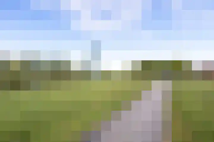 Zevenblad 91 De Meern thumbnail 42