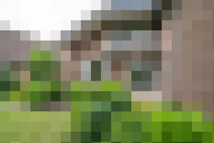 Zevenblad 91 De Meern thumbnail 46